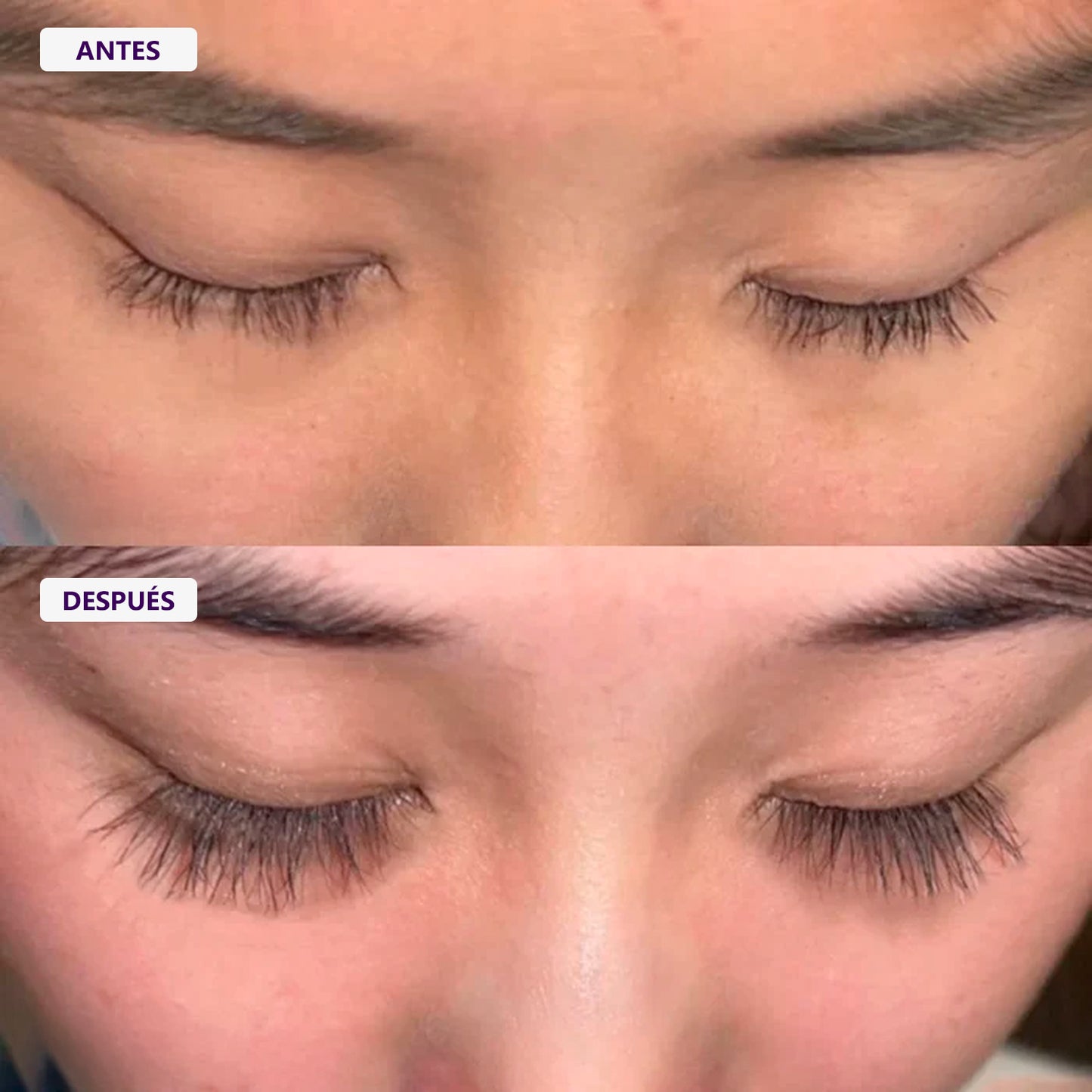Serum de Pestañas con Raíz de Fo-Ti + Mascara (Regalo)